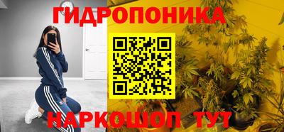 трава Бийск