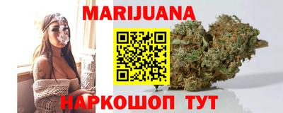 трава Бийск