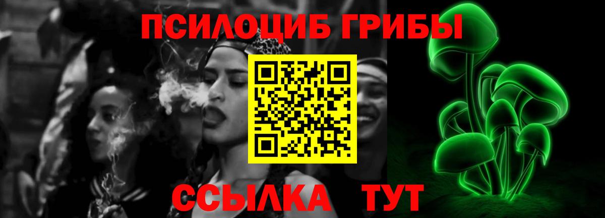 Калуга  Псилоцибиновые грибы прущие грибы  Псилоцибиновые грибы мицелий  Вход с VPN 