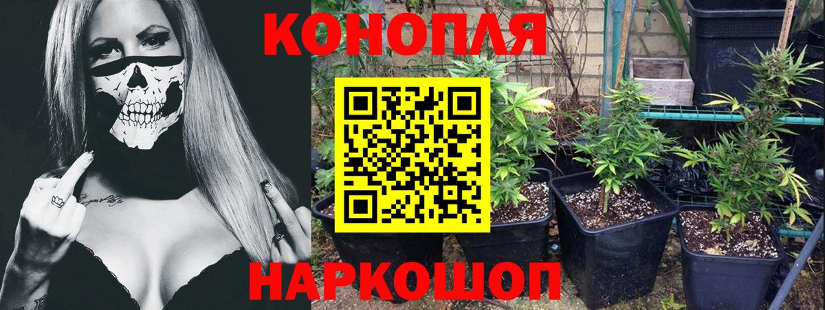 МАРИХУАНА OG Kush Калуга